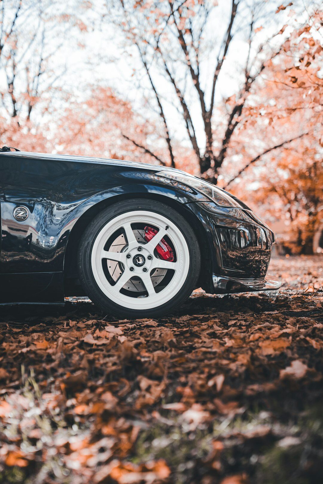 luxury car being washed